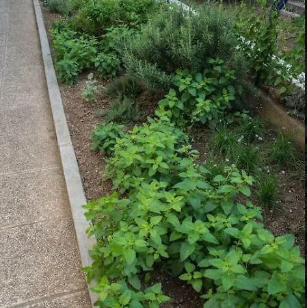 Mediterranean Family Design דירה איזולה