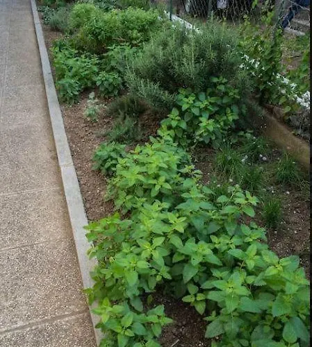 Mediterranean Family Design 아파트 이졸라